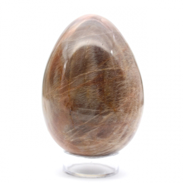 Schwarzer Mondstein – Microcline-Ei 455 g