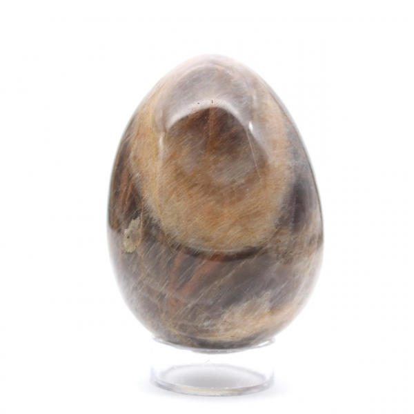 Schwarzer Mondstein – Microcline-Ei 455 g