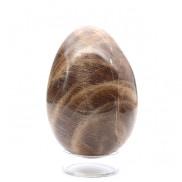 Schwarzer Mondstein – Microcline-Ei 455 g