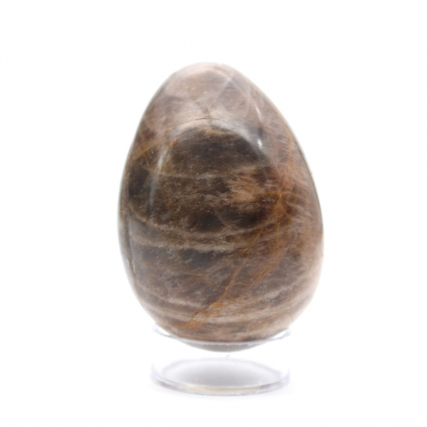 Schwarzer Mondstein – Microcline-Ei 455 g