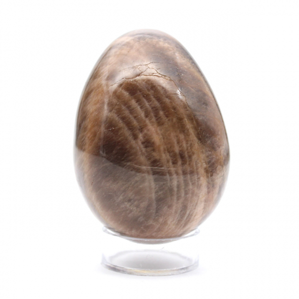 Schwarzer Mondstein – Microcline-Ei 455 g