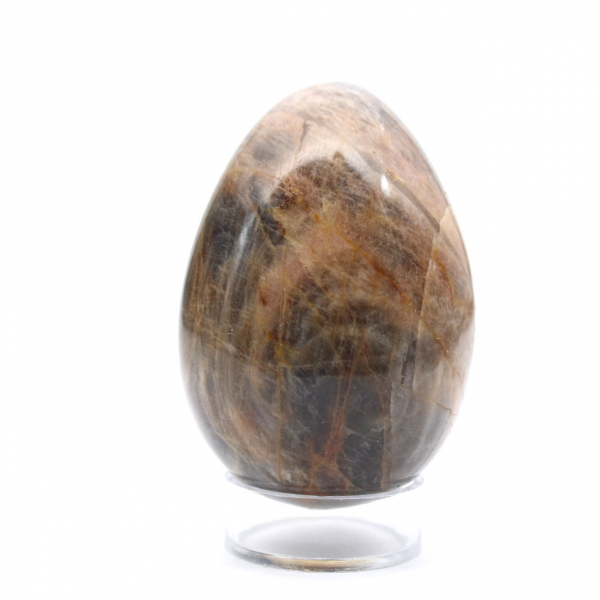 Microcline Black Madagascar - Ei 195g