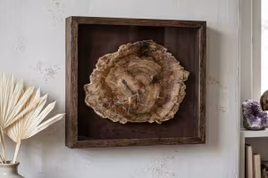 Versteinertes Holz
