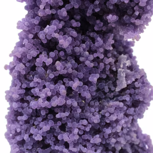 Chalcedon-Cluster
