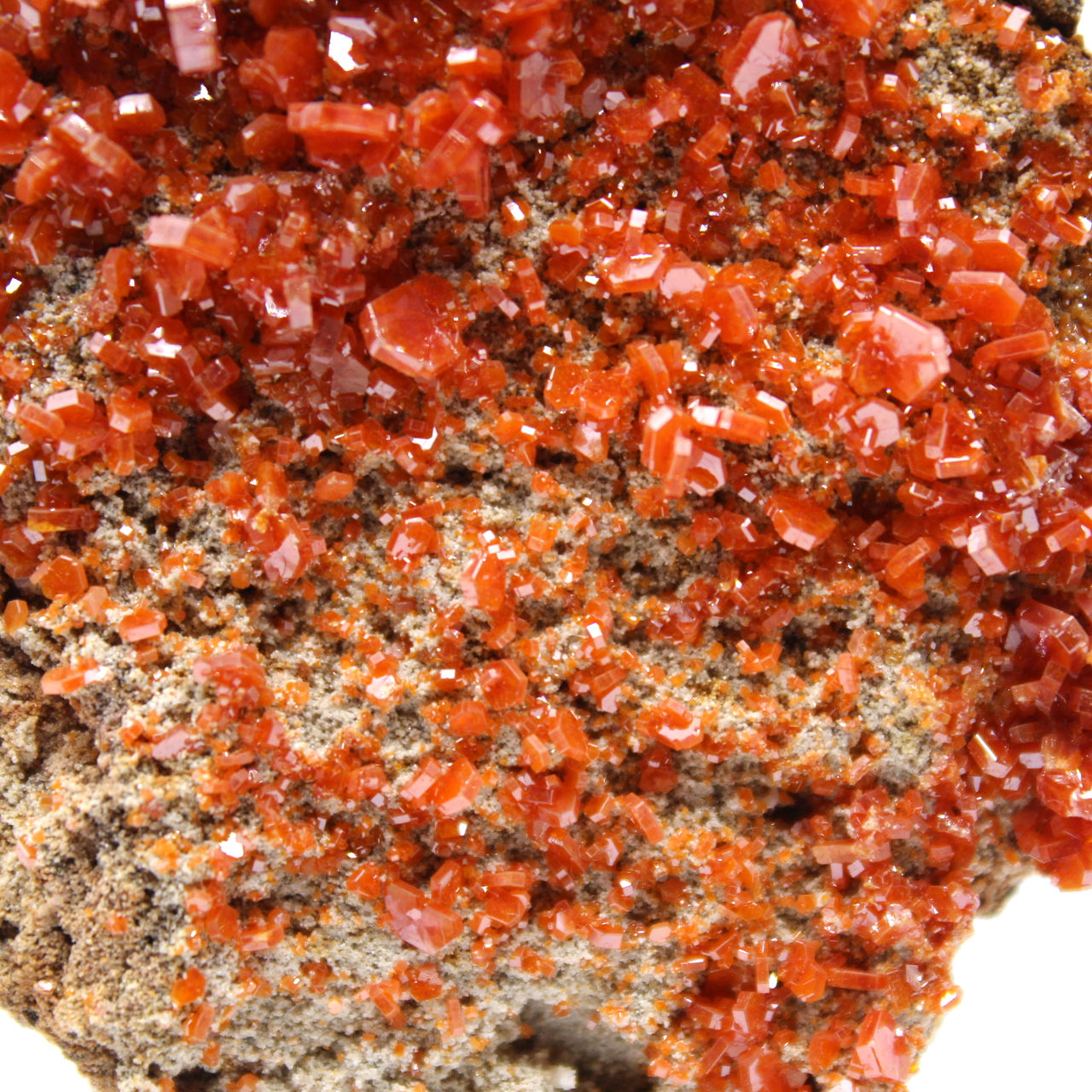 Entdecken Sie Vanadinit