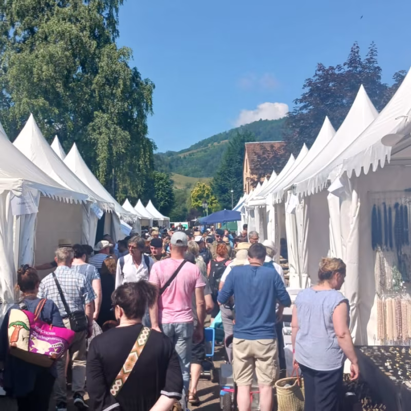 Mineral & Gem 2025: eine große internationale mineralogische Ausstellung allee smam 2025 2