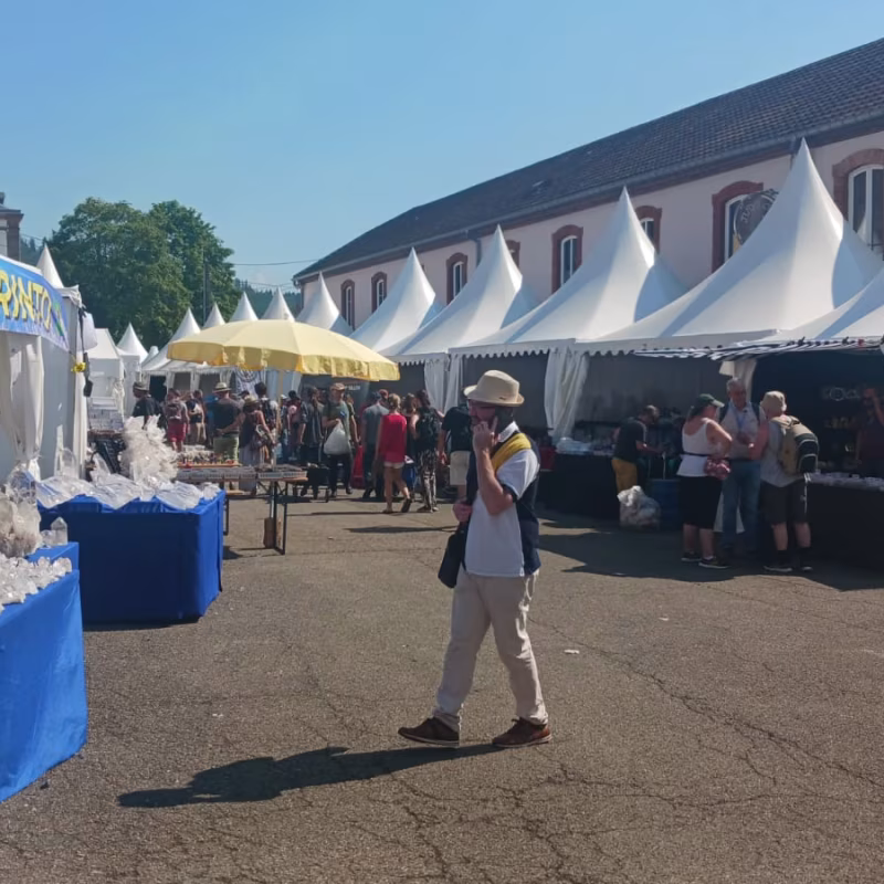 Mineral & Gem 2025: eine große internationale mineralogische Ausstellung allee smam 2025 3