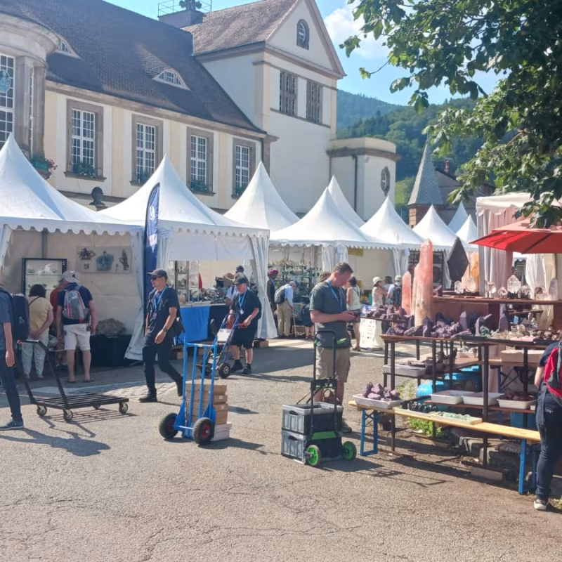 Mineral & Gem 2025: eine große internationale mineralogische Ausstellung allee smam 2025 5
