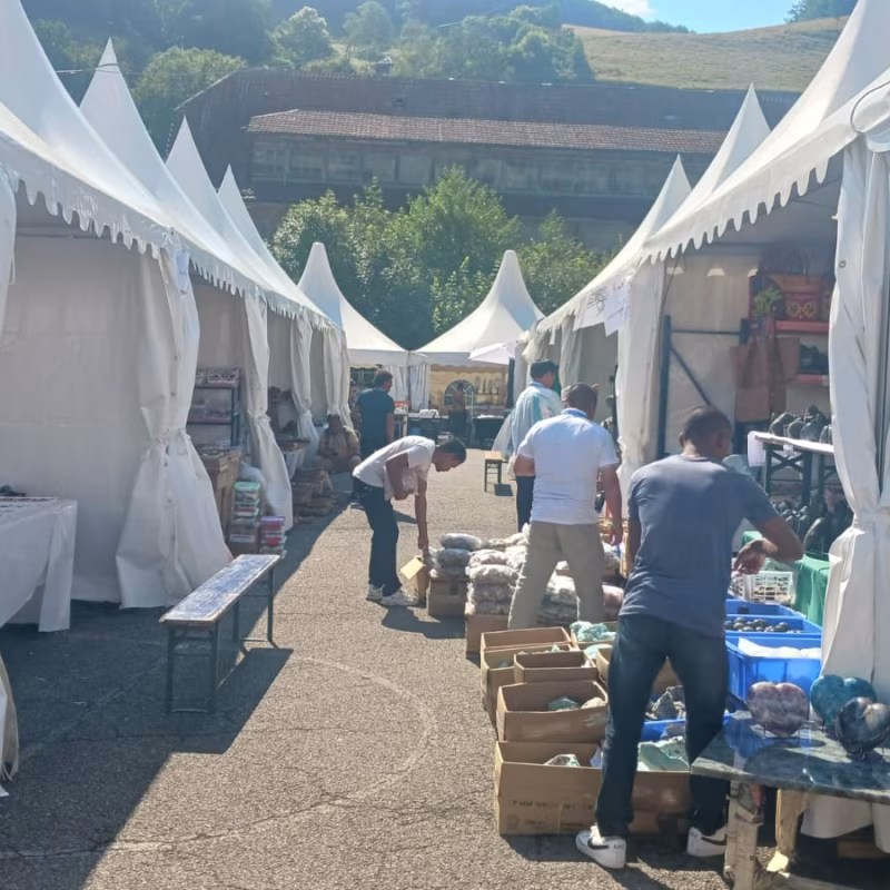 Mineral & Gem 2025: eine große internationale mineralogische Ausstellung allee smam 2025 6