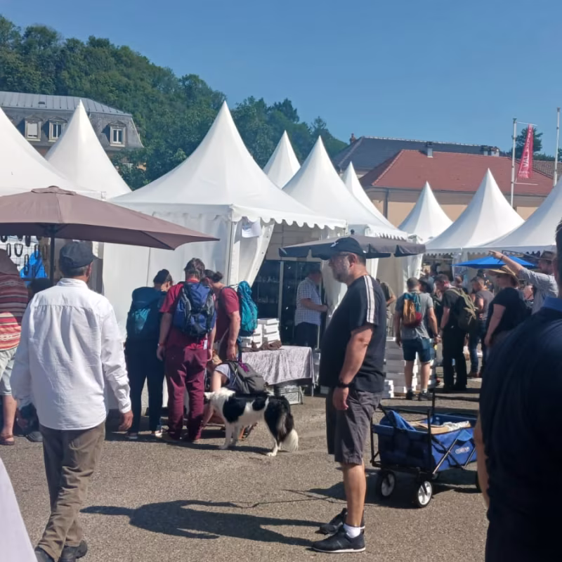 Mineral & Gem 2025: eine große internationale mineralogische Ausstellung allee smam 2025