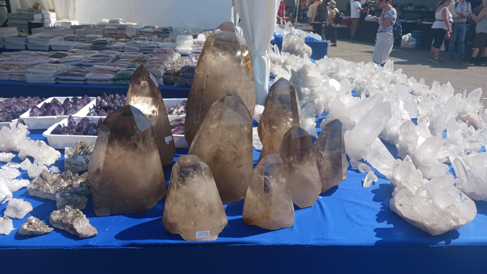 Mineral & Gem 2025: eine große internationale mineralogische Ausstellung