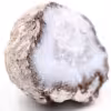 Morceau d'agate coconut du Mexique