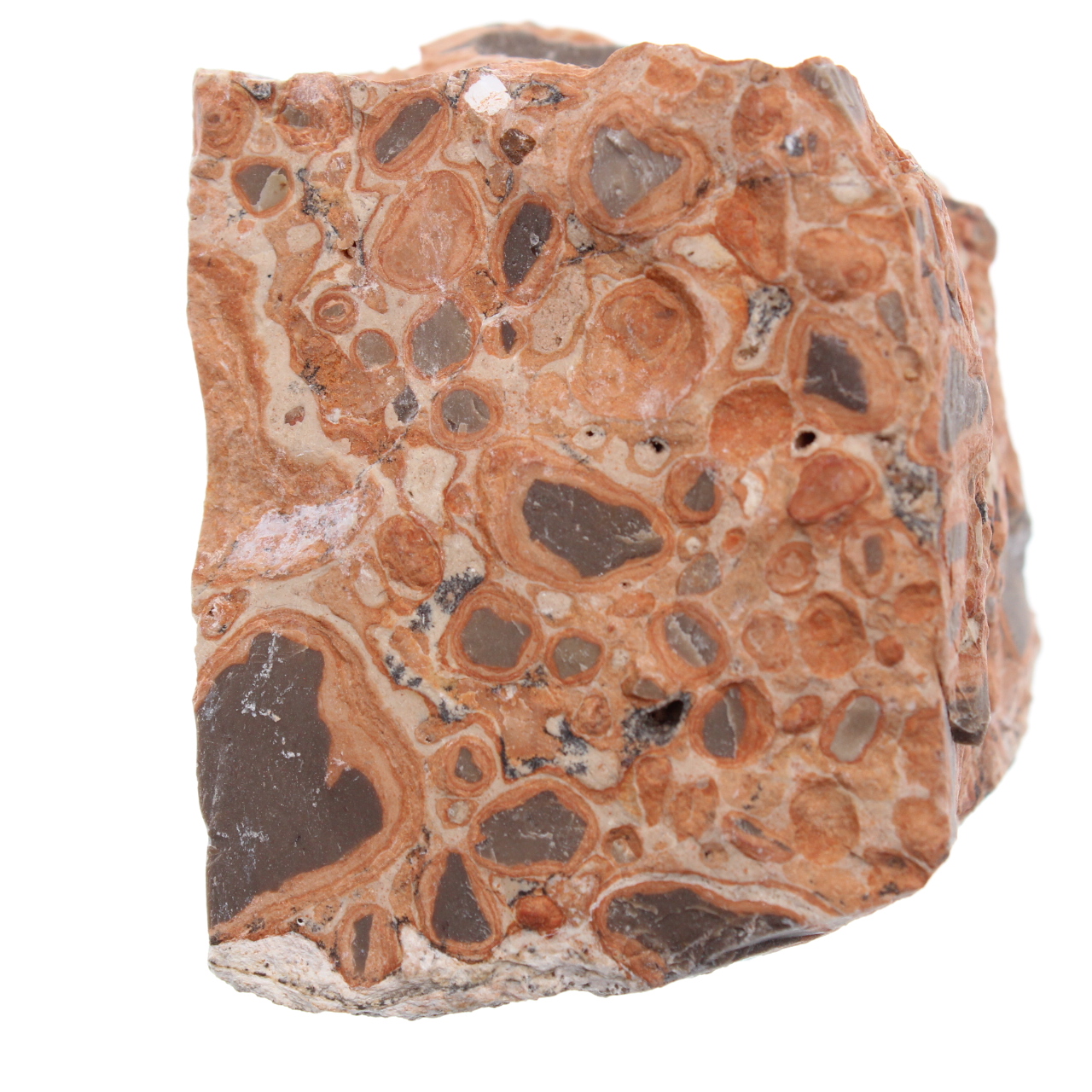 Leopardit