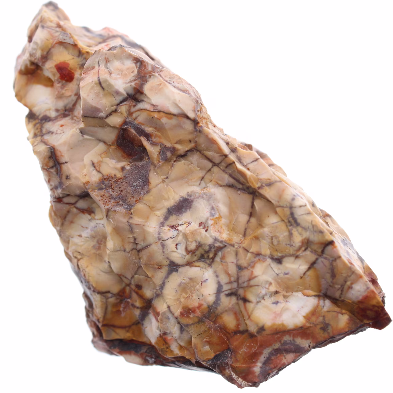 Augenfleck Jaspis