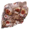Augenfleck Jaspis - 0