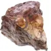 Augenfleck Jaspis - 0
