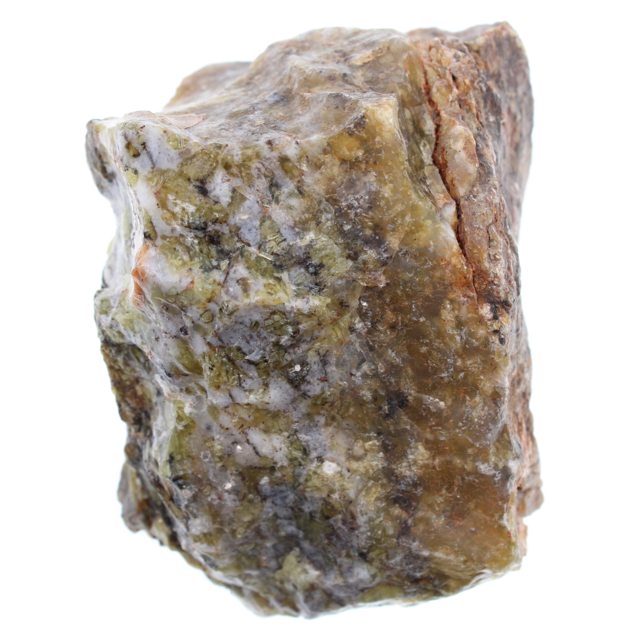 Dendritenopal