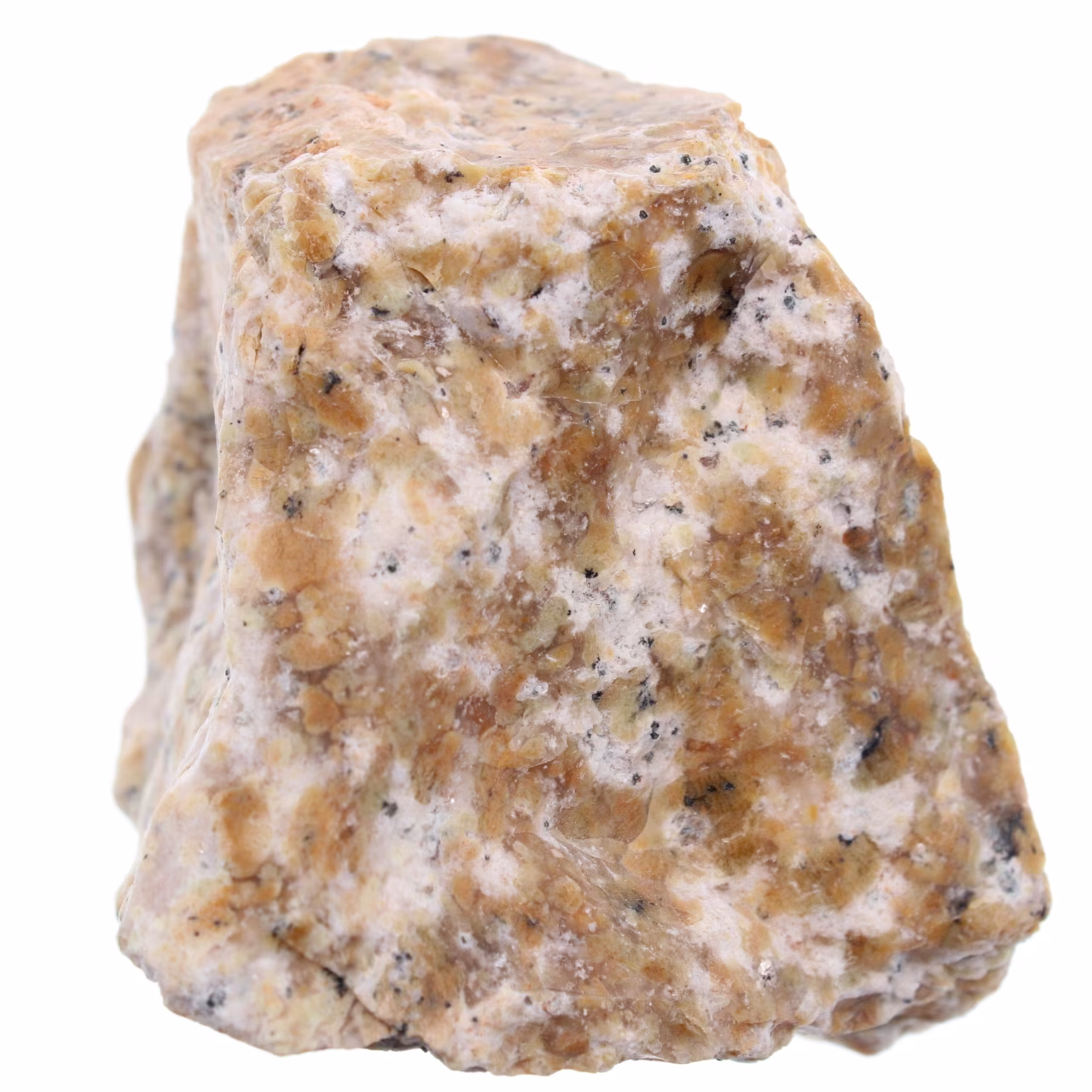 Dendritenopal