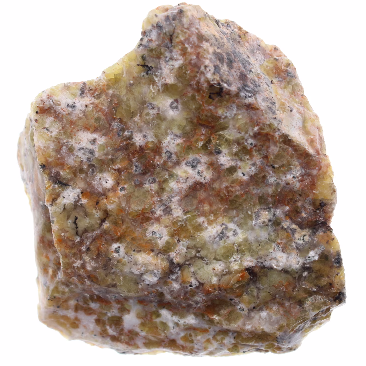 Dendritenopal