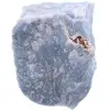 Blauer Engelit - 0