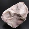 Rosa Opal - 0