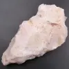 Rosa Opal - 0