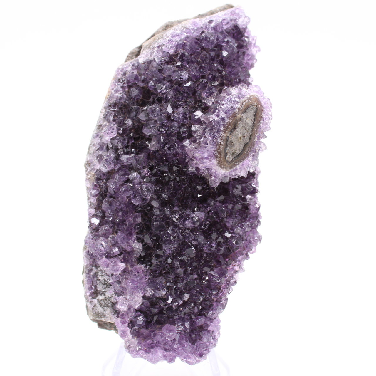 Amethyst Critical Plate