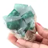 Kubische Kristalle aus grünem Fluorit auf massivem Fluorit - 0