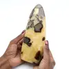 Polierte Septarien aus Madagaskar - 0