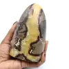 Septaria Rock - 0