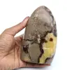 Polierter Septarienfelsen - 0