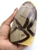 Septaria Stein - 0