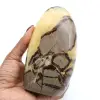 Polierte Septarien aus Madagaskar - 0
