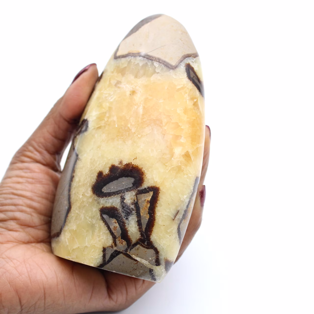 Madagaskar-Septarien