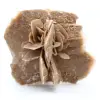 Wüstenrose - 0