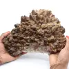 Calcit Mariposa aus Mexiko, Phantomcalcit - 0