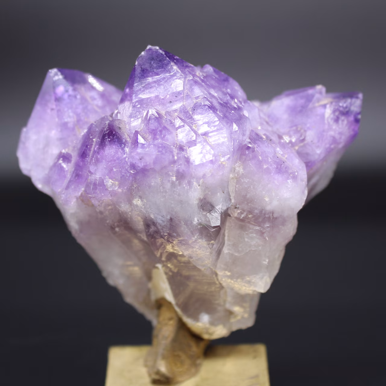 Amethystkristalle