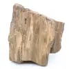 Fossiler Holzblock von Arizona - 0