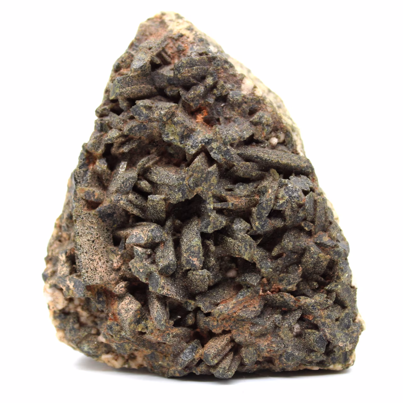 Staurotid der Bretagne auf Ganges