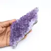 Uruguayischer Amethyst - 0