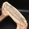 Großes Fischfossil - 0