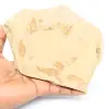 Fischfossil - 0
