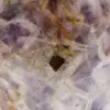 Amethyst freie Form - 5