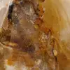 Gelber Quarz-Zierstein aus Madagaskar - 5