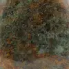Chrysopras-Zierstein aus Madagaskar - 5