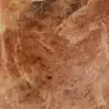 Polierter rosa Mikrolinien-Mondstein aus Madagaskar - 5