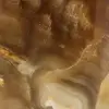 Calcitsteinhonig aus Madagaskar - 5