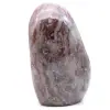 Polychromer Zierjaspis - 4