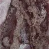 Polychromer Zierjaspis - 5