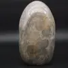 Sammlerstück natürlicher grauer Bandjaspis - 1
